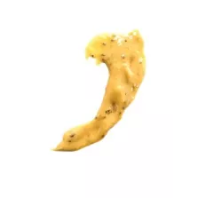 Marinade goût moutarde (5kg)