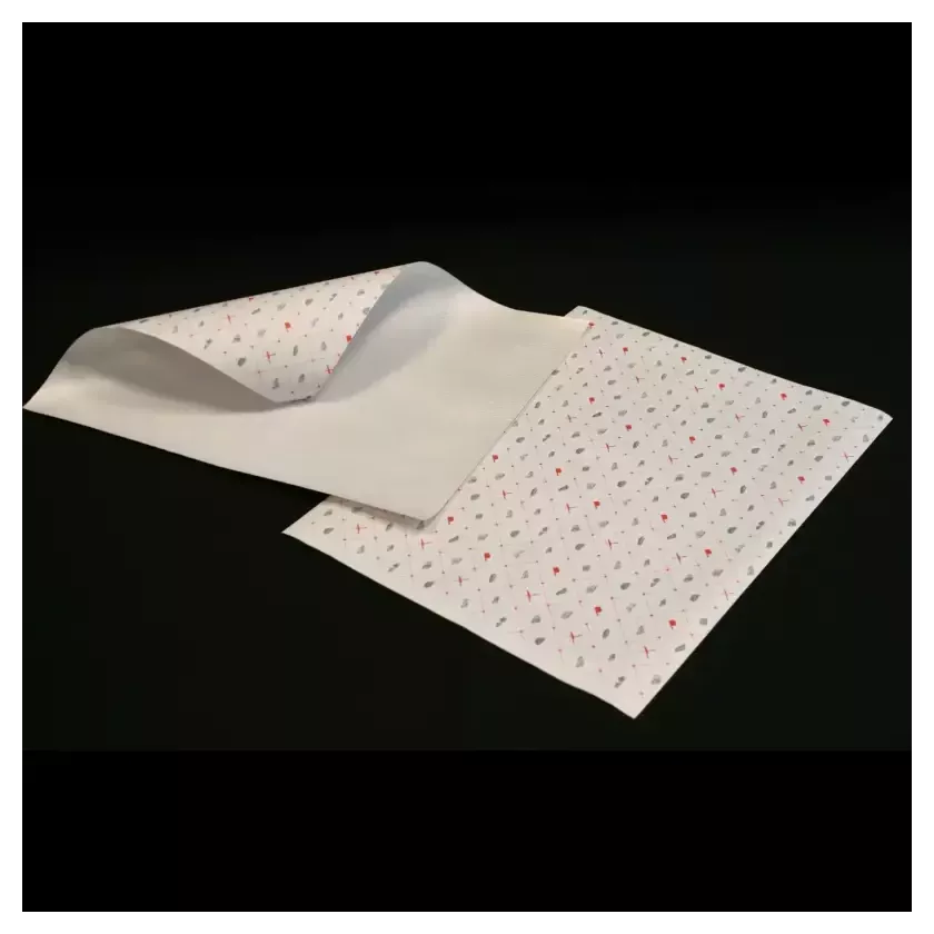 Papier duplex Carne 32x40cm