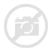 Roh Pekelsafe 25g Van Hees