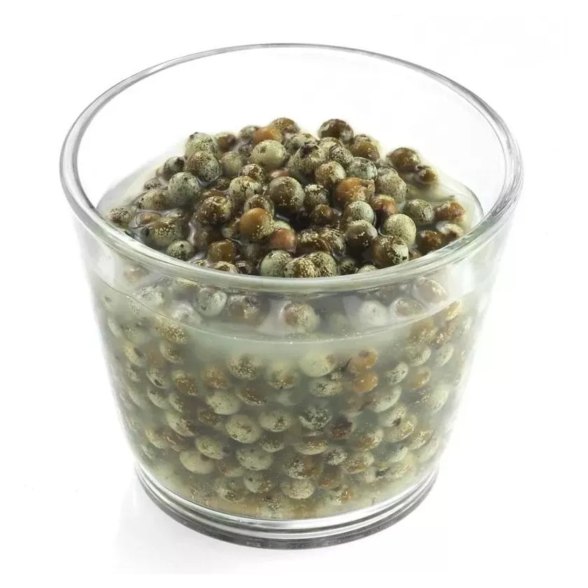 Poivre vert Brasil 500g Raps