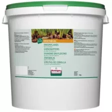 Oignons flocons blancs deshydrates 5kg Verstegen
