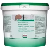 Base mayonnaise poudre Verstegen