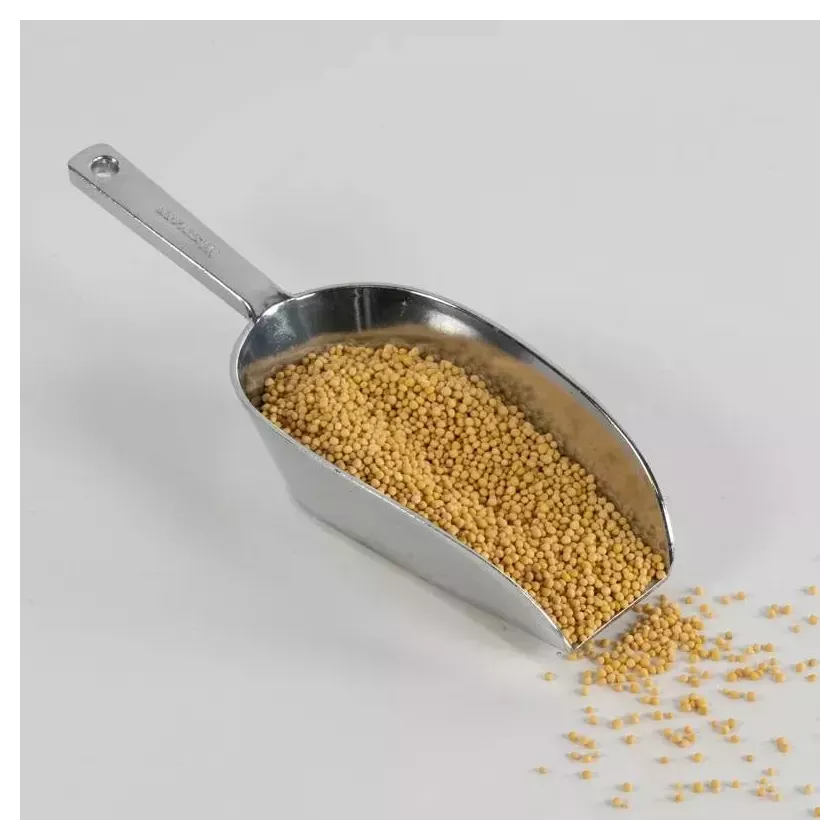GRAINES DE MOUTARDE JAUNE ENTIERES Qualité d'Or