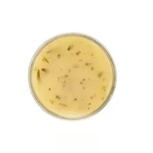Vinaigrette aux fines herbes Delino