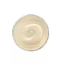 Sauce a l'ail 3L Delino