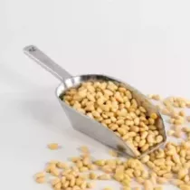 Pignons de pin 650g Qualite d'Or