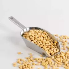 Pignons de pin 1,8kg Qualite d'Or