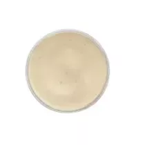 Caesar dressing tube 1L Delino
