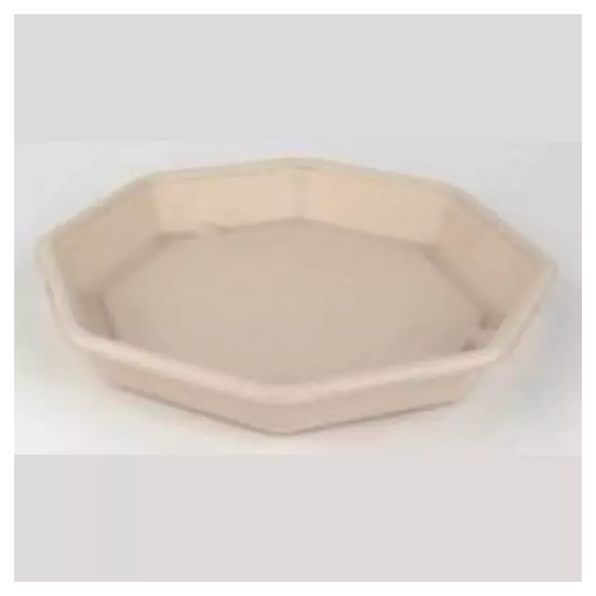 Octaview bagasse naturel 230x230x80mm