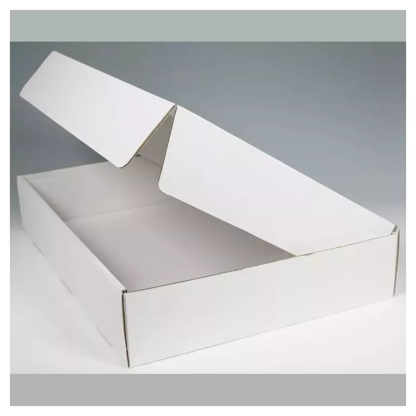 Boite basse couvercle a charniere blanc 447x332x81mm