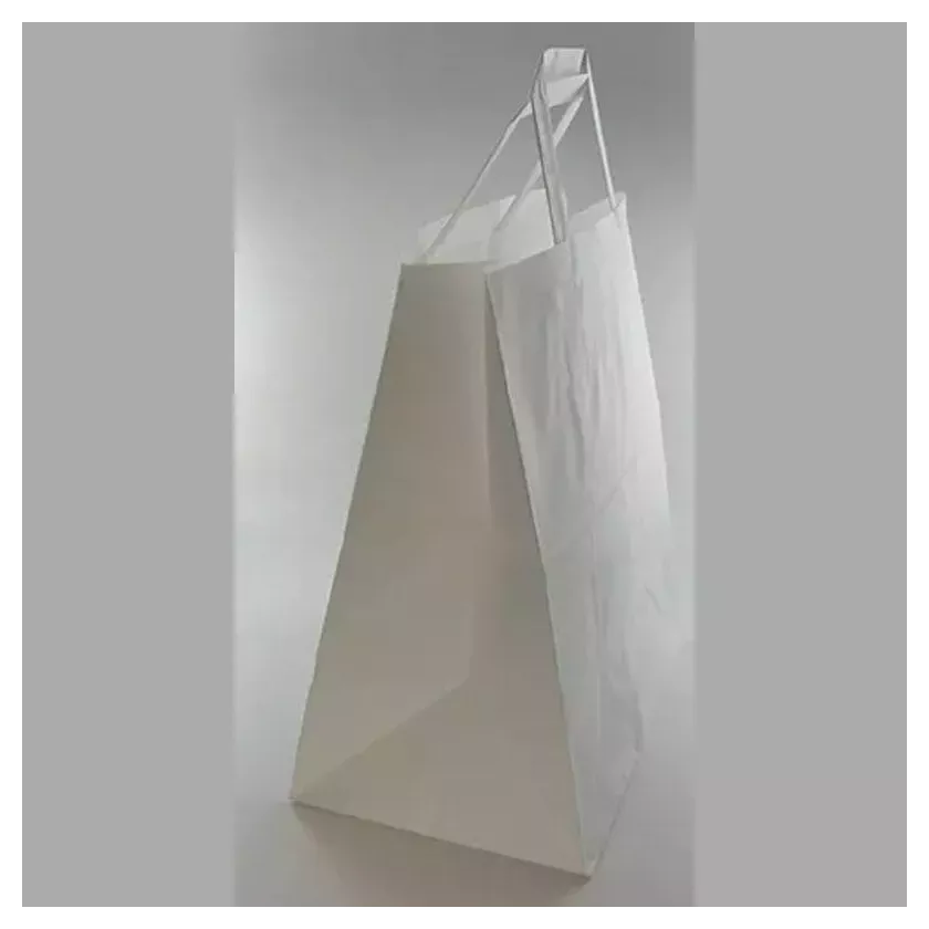 Sac papier 26xh29+(2x8)cm blanc plus poignee plate