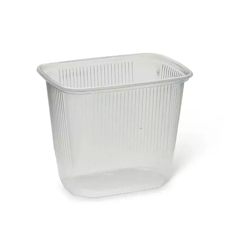 Ravier magnetron 108R103 500ml PP transparent