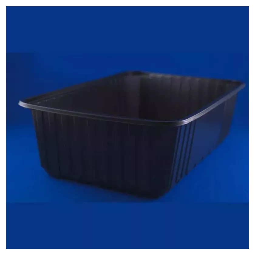 Ravier PS R270-100 3,5L noir 270x180x100mm