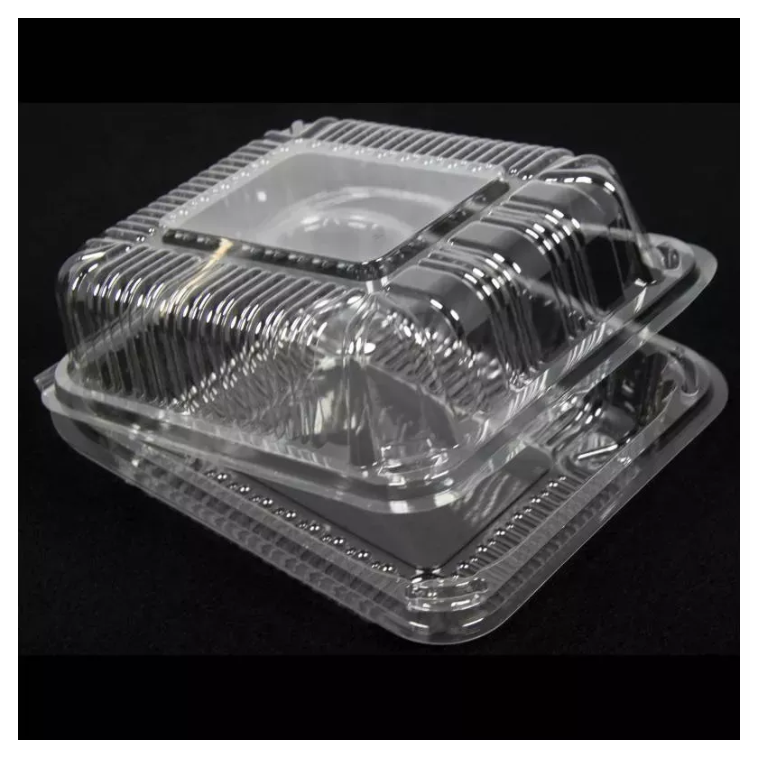Blister APET 200x172x83mm couvercle a charniere