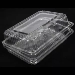 Blister APET 270x186x88mm couvercle a charniere