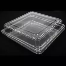 Blister APET 255x250x86mm couvercle a charniere