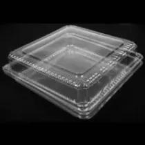 Blister APET 255x250x86mm couvercle a charniere