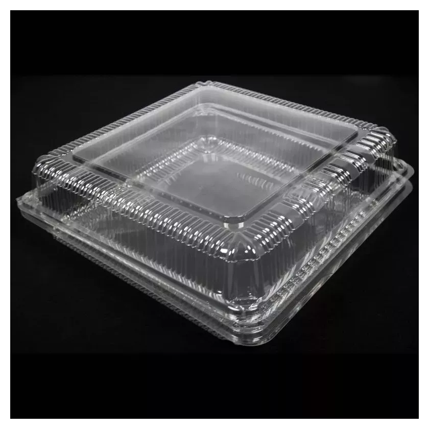 Blister APET 255x250x86mm couvercle a charniere