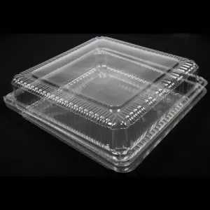 Blister APET 255x250x86mm couvercle a charniere
