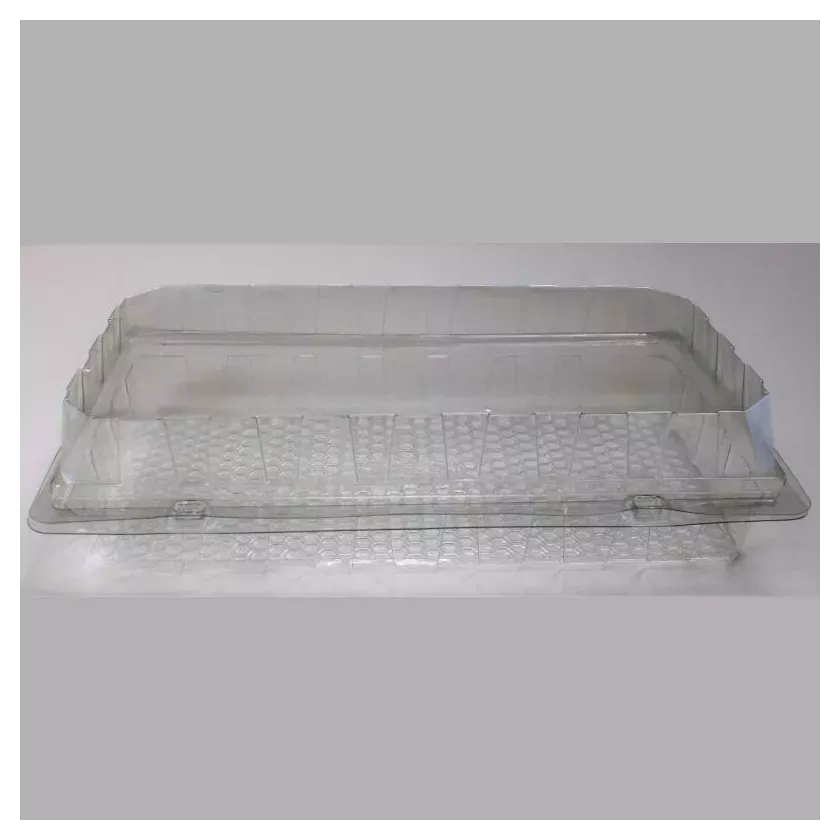 Blister patisserie PET rectangulaire couvercle a charniere 245x125x55mm