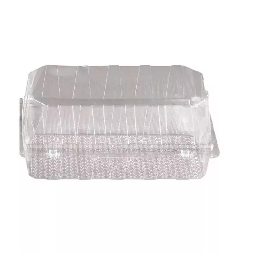 Blister patisserie PET rectangulaire couvercle a charniere 216x125x100mm