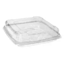 Blister APET 180x180x50mm couvercle a charniere