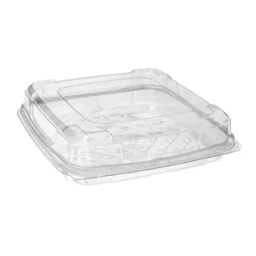 Blister APET 180x180x50mm couvercle a charniere