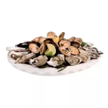 EPS coquille blanc diametre 500mm hauteur 65mm