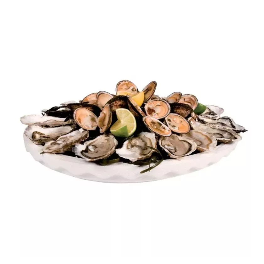 EPS coquille blanc diametre 500mm hauteur 65mm
