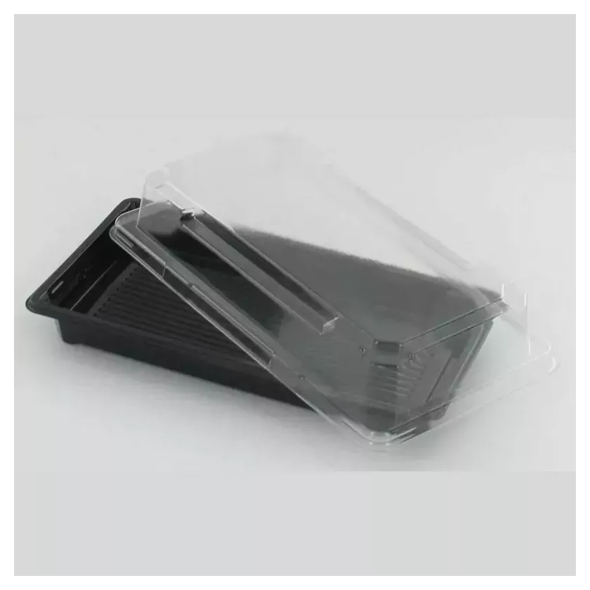 PET plat 171x91mm avec couvercle noir et transparent