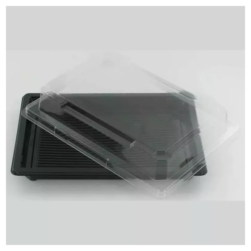 PET plat 185x129mm avec couvercle noir et transparent sushi