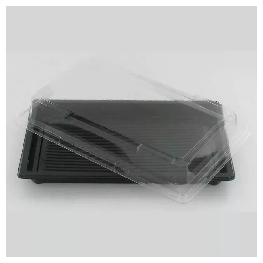 PET plat 215x135mm avec couvercle noir et transparent