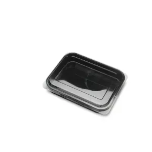 Couvercle PET cristal 40 microns 258x208x20mm