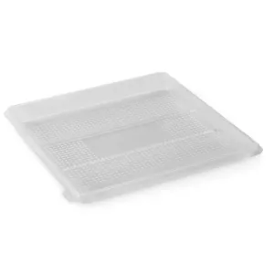 RPET ravier 250x250x20mm carre transparent 1 compartiment ZEN