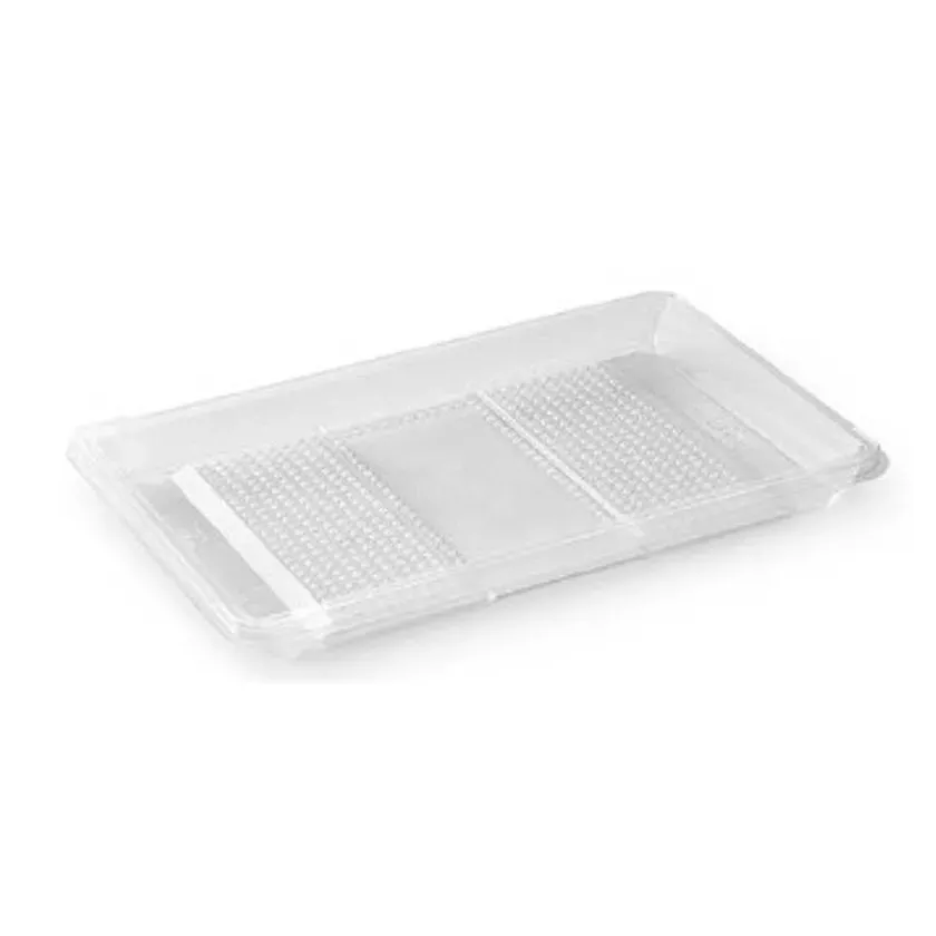 RPET ravier 250x166x20mm rectangulaire transparent 1 compartiment ZEN