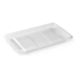 RPET ravier 250x166x20mm rectangulaire transparent 1 compartiment ZEN