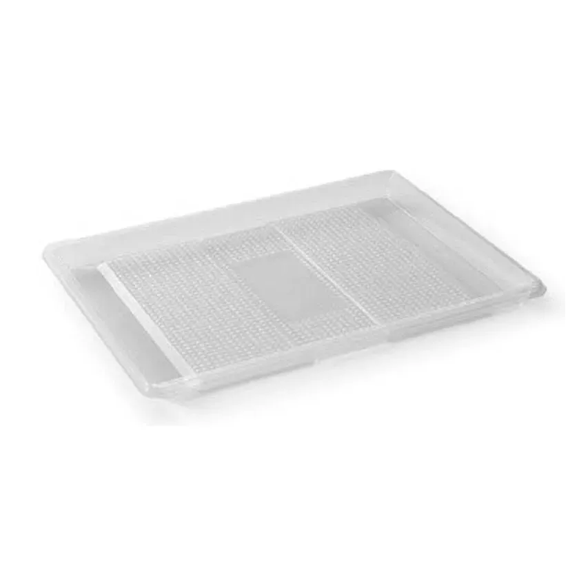 RPET ravier 320x250x20mm rectangulaire transparent 1 compartiment ZEN
