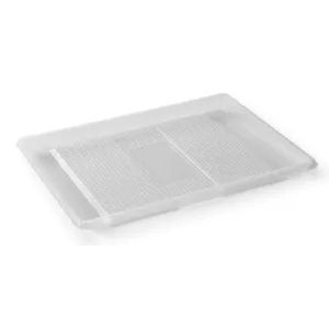 RPET ravier 320x250x20mm rectangulaire transparent 1 compartiment ZEN