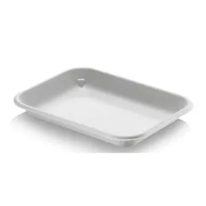 Petit plat 180x136x22mm compostable canne a sucre Eco