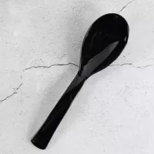 Cuiller salade grande noir Plexi 24cm