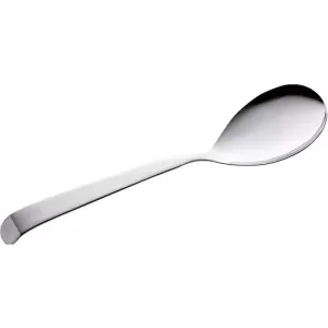 Cuillere a servir 30cm inox 18/10
