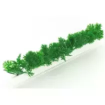 Barrettes persil type B