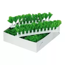 Decoration verte barettes display