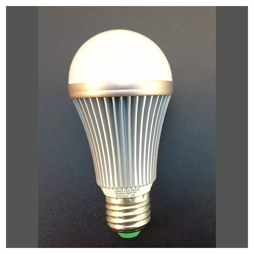 Lampe LED Neodym Meat 230V 7W E27
