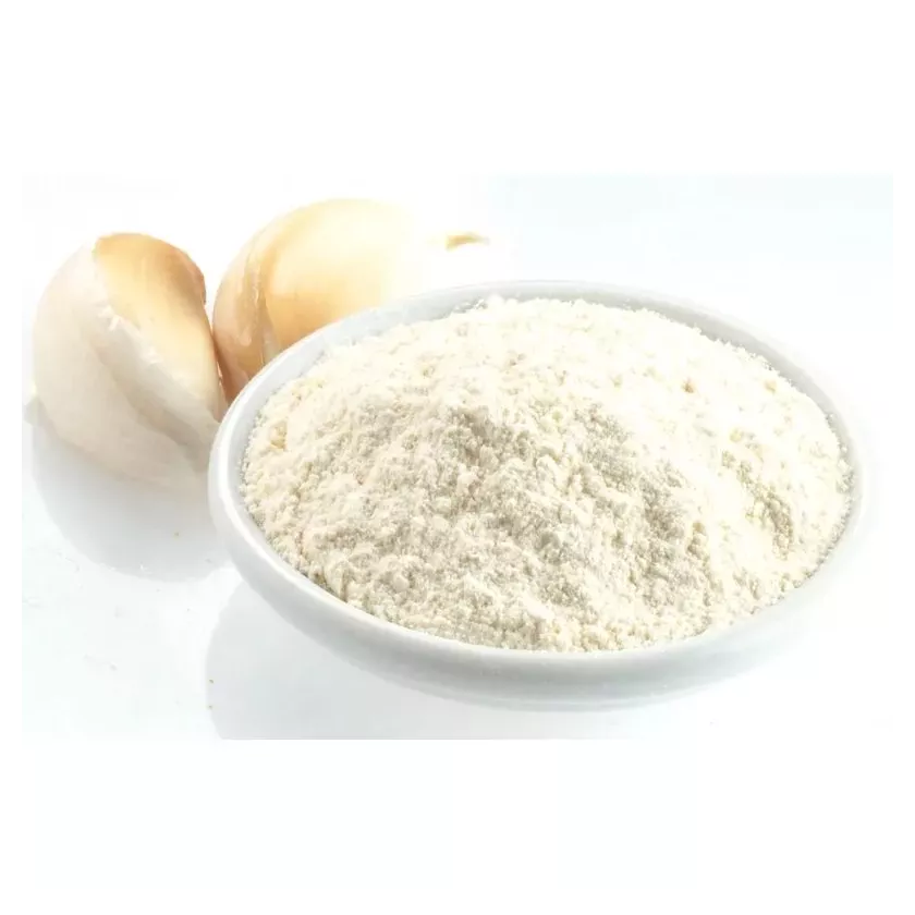 Ail poudre en vrac (sachet de 1 kg)