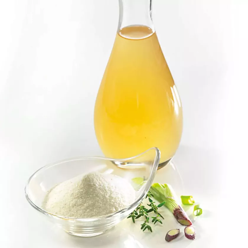Zartin gourmet CA liquide Van Hees (bidon de 5 L)