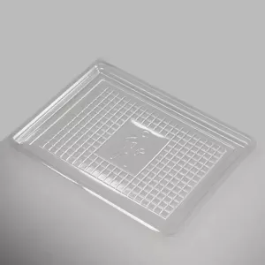 RPET plat charcuterie transparent 16x22cm (carton de 1 000 pièces)