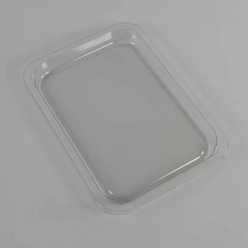 RPET tray 227x178x18mm transp (carton de 816 pièces)