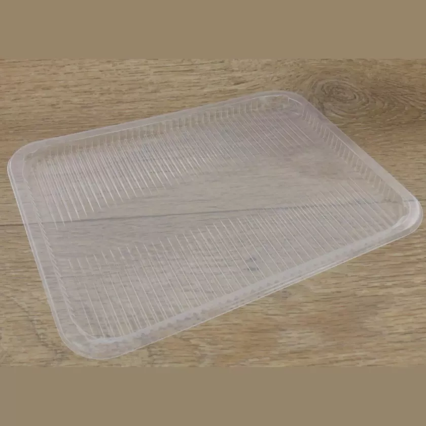 PP tray 227x178x10mm transp transparent ride (lot de 540 pièces)
