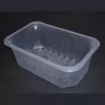 PP tray 230x145x90mm transp E - cr - fr (carton de 592 pièces)